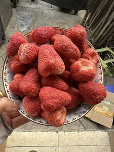 Fraises lyophilisées de qualité supérieure en vrac, collation de fruits naturels croustillants, emballées sous vide, vente en gros OEM - Mme Tarina - Product Image 1
