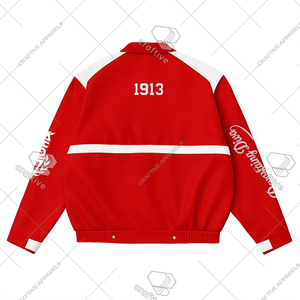 Delta Sigma Theta Racing Style PU Leather <b>Jacket</b> Customizable Sorority Stand Collar <b>Jacket</b> for Delta <b>Racer</b> Sorority Style - Product Image 2