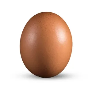 Wholesale Brown Chicken Eggs Fresh Laid US Origin Low Fat 24-Month <b>Shelf</b> Life & Ready for International Shipping - Product Image 1