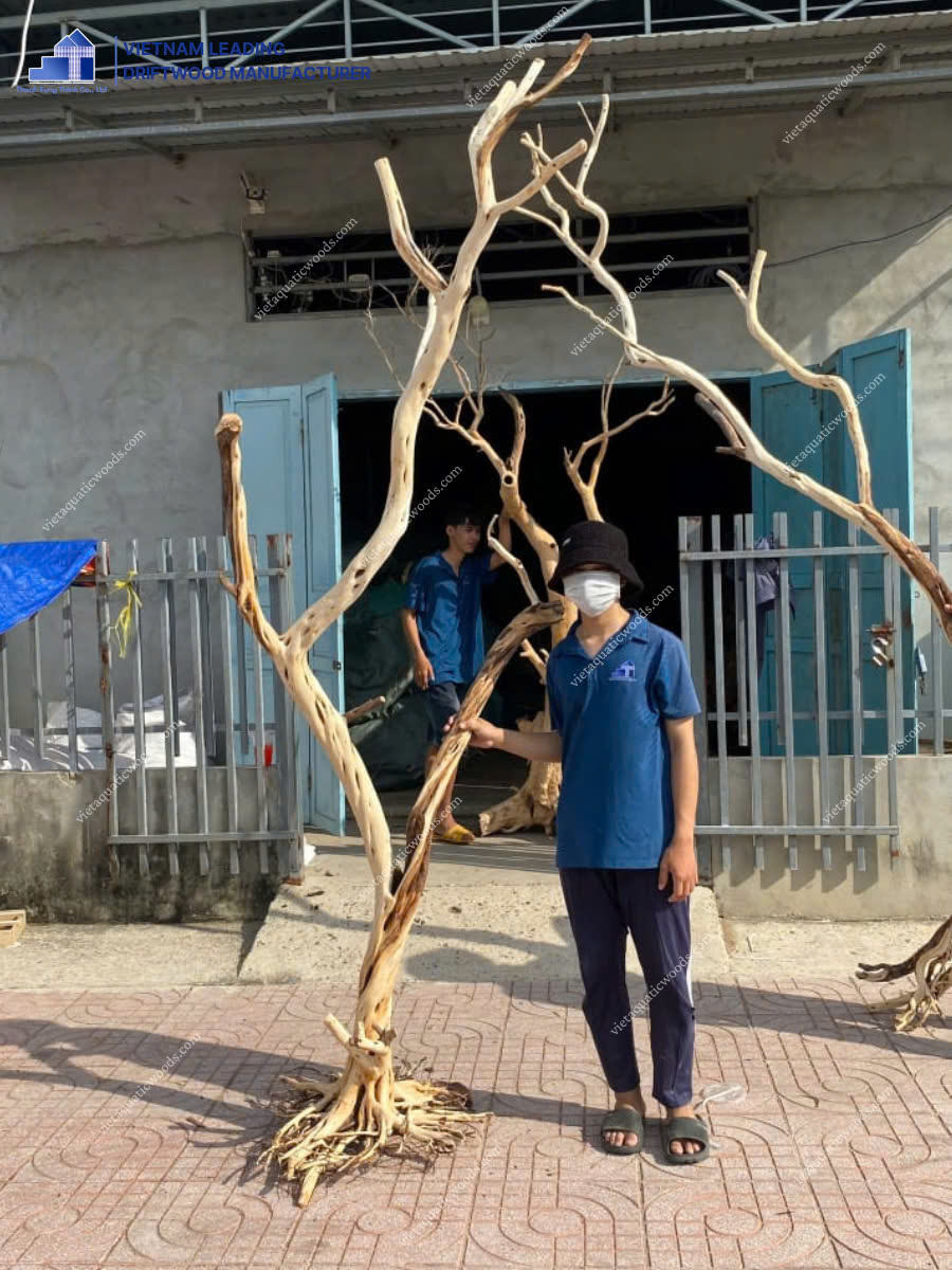 สีไม้ธรรมชาติ