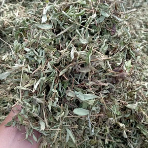 HOJA SECA DE STEVIA - Product Image 1