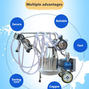 Système <span class=keywords><strong>de</strong></span> machine à traire automatique <span class=keywords><strong>de</strong></span> ferme <span class=keywords><strong>de</strong></span> vache <span class=keywords><strong>de</strong></span> haut niveau <span class=keywords><strong>salle</strong></span> <span class=keywords><strong>de</strong></span> <span class=keywords><strong>traite</strong></span> avec le <span class=keywords><strong>prix</strong></span> le plus bas pour la vente - Product Image 6