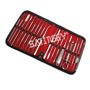 Herramientas Dentales, Palillo Dental para Limpieza de Dientes, Kit de Higiene de Acero Inoxidable con Raspador de Dientes, Removedor de Sarro y Placa de Alta Calidad - Product Image 2