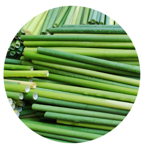 BIODEGRADABLE <b>STRAWS</b>/ VIETNAMESE ECO-FRIENDLY GRASS <b>STRAWS</b> MANUFACTURE WHOLESALE GRASS STEAWS CUSTOM BY ECO2GO VIETNAM - Product Image 1