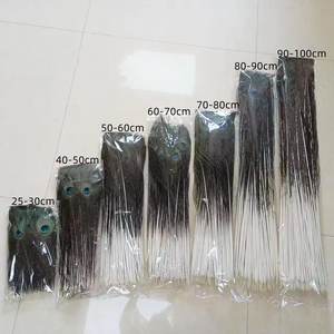 Proveedor de plumas de pavo real naturales a granel baratas para decoración de fiestas y hogares - Product Image 3