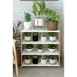 Conjunto de Entrada Fida - Zapatero Blanco + Juego de 2 Estantes de Pared - Product Image 4