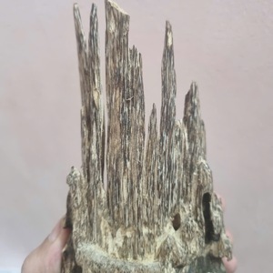 Chips de madera de primera calidad esenciales para el cuidado personal, el complemento perfecto para su rutina - Product Image 2