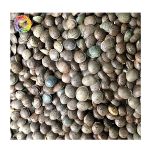 Graines de Sacha Inchi Prix de Gros, Fournisseur de Graines de Sacha Inchi Vietnam, Graines de Sacha Inchi en Vrac pour le Marché Mondial - Product Image 2