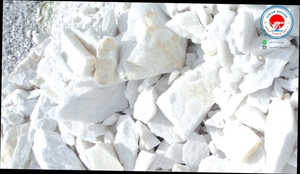 White Calcium Carbonate Powder 97% Whiteness High Oil Absorption for <b>Plastic</b> Coating ISO 9001 Certified - Product Image 6