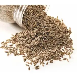 Premium Spice Blend Sustainably Produced Raw Cumin Grains in Spices from Indian Manufacturer And Supplier