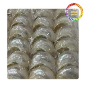 Grand Turbo Shell du Viet Nam | Pour les cadeaux et la décoration intérieure | Couleur blanc et vert - Product Image 6