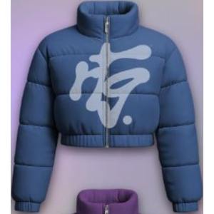 Chaquetas Cortas Acolchadas Premium Personalizadas para Mujer 2026, Abrigos Cortos Acolchados, Abrigos Cálidos de Invierno para Mujer, Chaquetas Bomber Acolchadas para Mujer - Product Image 4