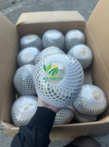 Noix de coco fraîches de haute qualité Paking en vrac-Idéal pour le traitement et l'exportation-Fabriqué par Viet Thien Phu du Vietnam - Product Image 3