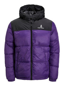 Chaqueta acolchada de invierno 2025 de alta calidad personalizada, chaqueta acolchada de burbuja para hombre, chaqueta acolchada de manga larga con cuello con capucha para hombre - Product Image 2