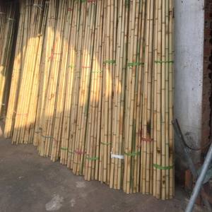 Vente en gros de piquets de canne en bambou meilleure vente pieu de canne naturel produits agricoles de jardin - Product Image 5