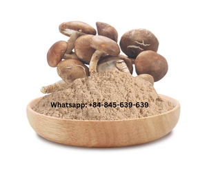 Iitake-producto ertificado: 100% puro, sostenible y libre de químicos - Product Image 1