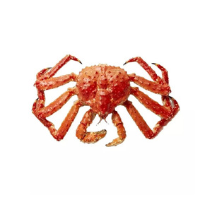 Proveedor de cangrejo rey congelado/cangrejos reales vivos a la venta/con descuento King Crab Claws King Crab Clusters - Product Image 5