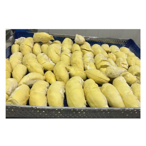 Trozos de Durian congelado de Vietnam-Repleto de dulzura natural-Estable y versátil por 99 DATOS DE ORO - Product Image 1