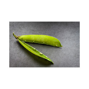 Dosettes de pois surgelées à bas prix traitées et emballées avec la technologie IQF - Product Image 6