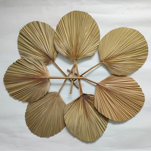 Abanico Decorativo de Pared de Bambú Natural, Abanico Tejido a Mano con Hermoso Diseño, Abanico Decorativo de Hojas de Palma Tejidas - Product Image 6