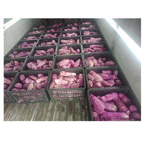 Ñame morado congelado de Vietnam, cultivado naturalmente y congelado rápidamente, perfecto para servicio de alimentos, procesamiento o consumo directo - Product Image 2