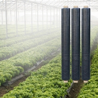 Film de paillage agricole biodégradable / Couvre-sol horticole anti-mauvaises herbes ; qualité écologique.