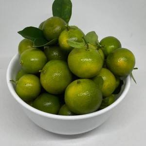CALAMANSI CONGELADO DE VIETNAM PARA FABRICANTES DE BEBIDAS CONCENTRADOS DE JUGO Y EXPORTADORES DE ALIMENTOS ORGÁNICOS - Product Image 2