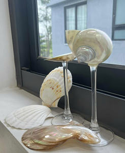 Concha de vidrio para regalos, concha marina duradera, busca casas elegantes, perfectas para exportación y uso de decoración - Product Image 2