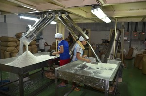 มะพร้าวธรรมชาติรสหวานคุณภาพพรีเมี่ยมจากเวียดนาม - Product Image 6