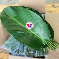 AUTHENTIQUES FEUILLES DE DONG CONGELÉES DU VIETNAM-IDÉAL POUR LA PRÉPARATION DES ALIMENTS TRADITIONNELS-EMBALLAGE DE GÂTEAU TRADITIONNEL