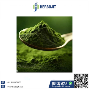 Aditivos Alimentarios Saludables de Primera Calidad, Herbojit International, Polvo de Pepino Secado por Aspersión, Hecho en India, 100% Natural, Bajo Precio, 12 - Product Image 6