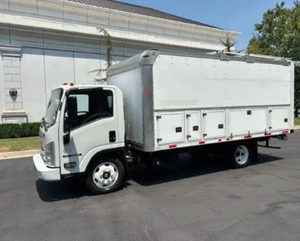 Nouveau véhicule à énergie nouvelle Isuzu FTR 4x2 2 portes 81,0 pouces BBC Tilt Cab 2024 - Product Image 3