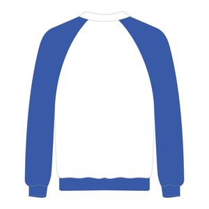 HBCU Educated <b>White</b> Zeta Phi Beta Raglan Sleeves Sweatshirt Chenille Embroidery Greek Sorority Divine Nine Collegiate Fashion - Product Image 3