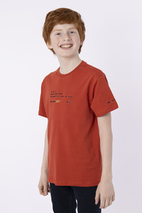 Professional Turkish Quality & Men's T-Shirt Custom 100% Cotton Daily Summer Wear Comfortable High Quality Kids Boys T-shirt & - Product Image 2