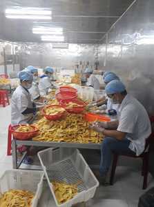 สินค้าขายดี ปี 2026 มะม่วงอบแห้งหั่นชิ้น น้ำเชื่อมหวานฉ่ำ บรรจุภัณฑ์สุญญากาศ ขนาดใหญ่ 5 กก. จากเวียดนาม คุณภาพดีที่สุดสำหรับการส่งออก - Product Image 5