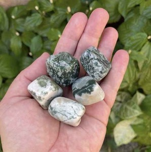 ผู้จำหน่ายอินเดียสำหรับการบำบัดด้วยหินโมราบนต้นไม้สำหรับการแสดงคริสตัลหรือนั่งสมาธิและตกแต่งในราคาที่เหมาะสม - Product Image 2