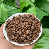 Grains de café robusta et arabica torréfiés de qualité supérieure du fabricant ODM Vietnam qualité de torréfaction moyenne dans chaque emballage Sip-Bag
