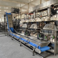 Machine d'enrobage pour cacahuètes et fèves, fabricant de cacahuètes enrobées à la rose, commande numérique automatique