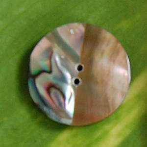 กระดุมเปลือกหอยปาโออาและม่าเบะ  กระดุมเครื่องประดับเปลือกหอยขัดเงา  รวมศิลปะกระดุมเปลือกหอยปาโออาและม่าเบะ - Product Image 2