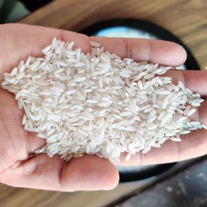 Riz à grains longs ST25 de qualité supérieure-Approvisionnement en gros du Vietnam - Product Image 6