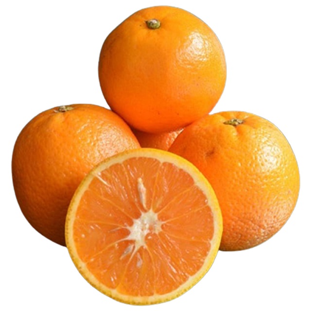 Orange Fruit Price Wholesale Fresh Dried Oranges