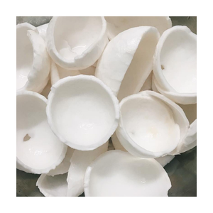 Viande de noix de coco congelée fournisseur vietnamien transformé dans une installation HACCP longue durée de conservation pour les marques alimentaires et les chaînes F & B dans le monde entier - Product Image 5