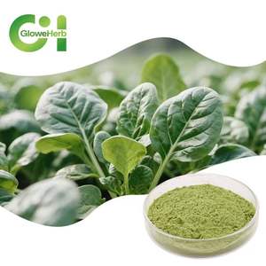 食品グレード乾燥ほうれん草粉末健康野菜エキスドラム包装サプリメント - Product Image 1