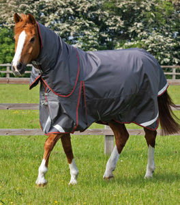Mantas para Caballos Premium Personalizadas, Manta de Exterior para Deportes Ecuestres, Manta Impermeable y Transpirable para Caballos, Proveedor - Product Image 1