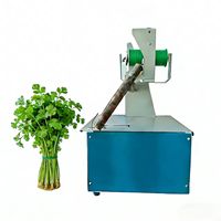 Groentebundelmachine, bloemenbindmachine, verpakkingsmachine voor verse producten voor supermarkten, levensmiddelenwinkels en boerderijen