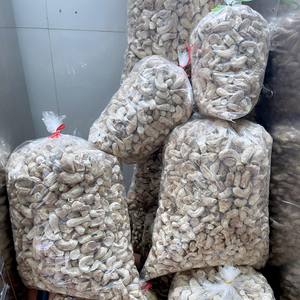 Champignon Shiitake avec bon goût Usine Pieds Shiitake du fournisseur du Vietnam Grande quantité de champignon Shiitake - Product Image 3