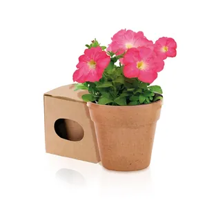 Barattolo Pubblicitario Biodegradabile, Regalo Promozionale ed Aziendale Ecologico, Gadget Ecosostenibili - Product Image 1