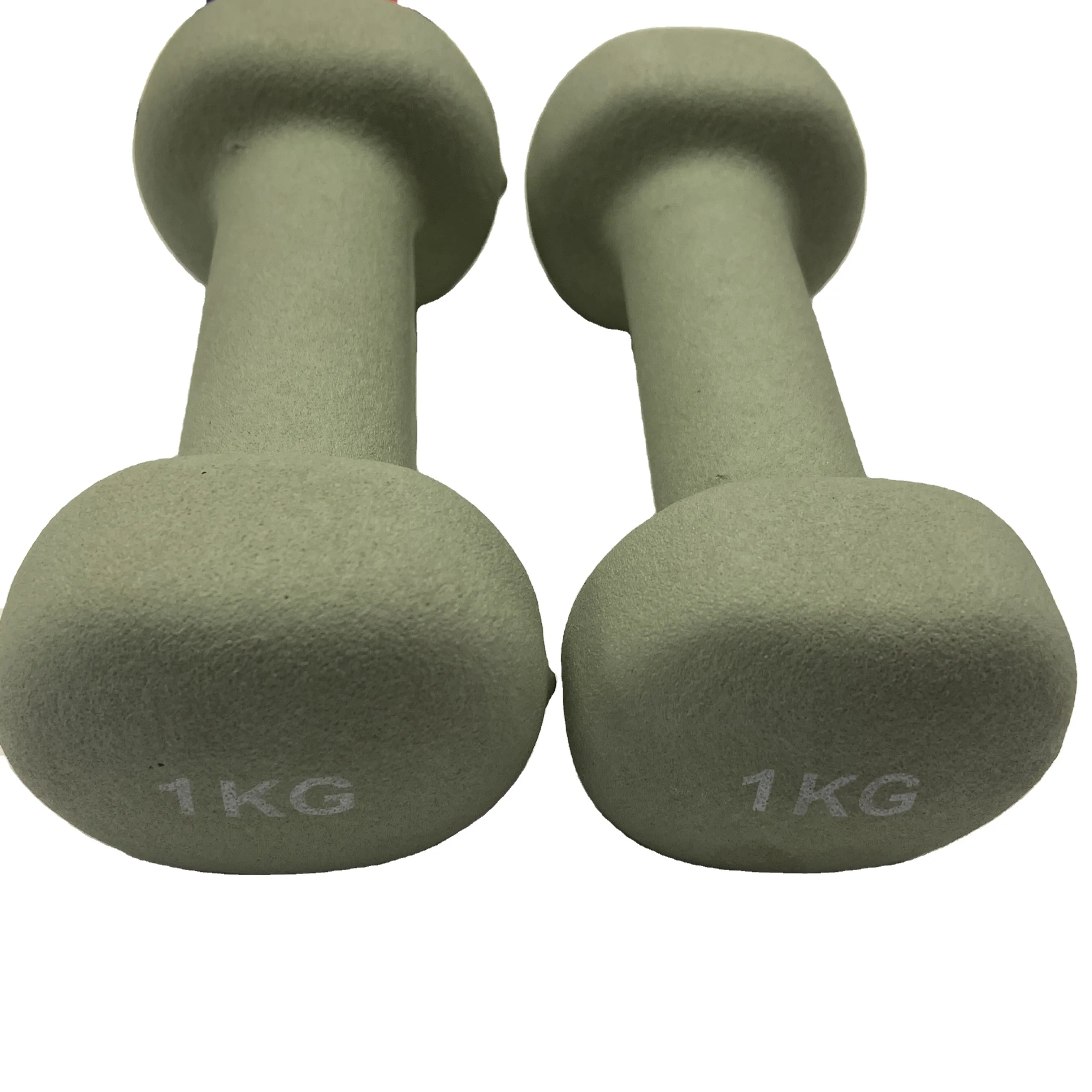 Fabrika doğrudan satış dambıl neopren dambıl ev için spor salonu ekipmanları ağırlık kaldırma demir dökme pvc hex dumbbells kadınlar için