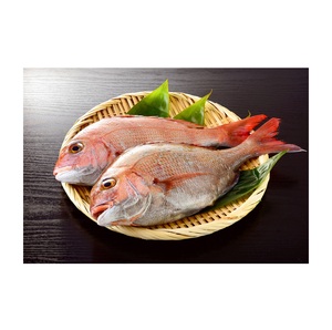 Meilleure Qualité Prix Promotionnel Poisson Dorade Rouge Congelé |   Poisson entier de mer rouge - Product Image 4