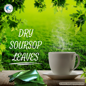 ¡Formulario disponible! Calabaza amarga de estilo verde seca natural, melón de calabaza amarga de hojas de Guanábana secas de Vietnam, hojas de laurel secas - Product Image 3